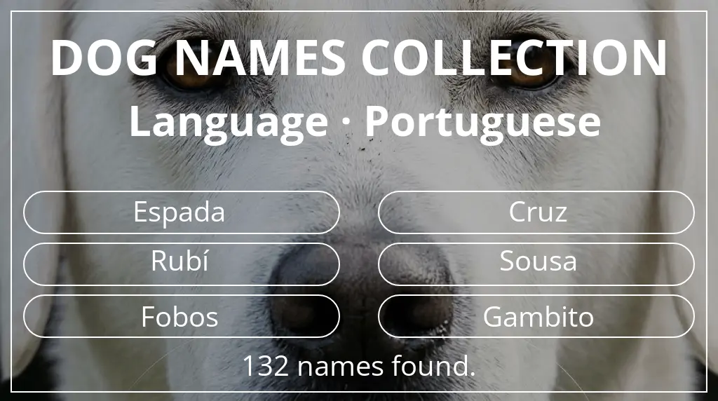 Names for dogs inspired by portuguese language