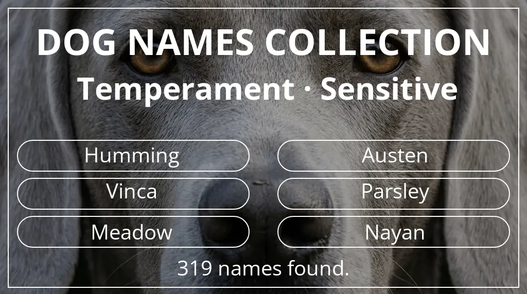 Names for dogs inspired by sensitive temperament