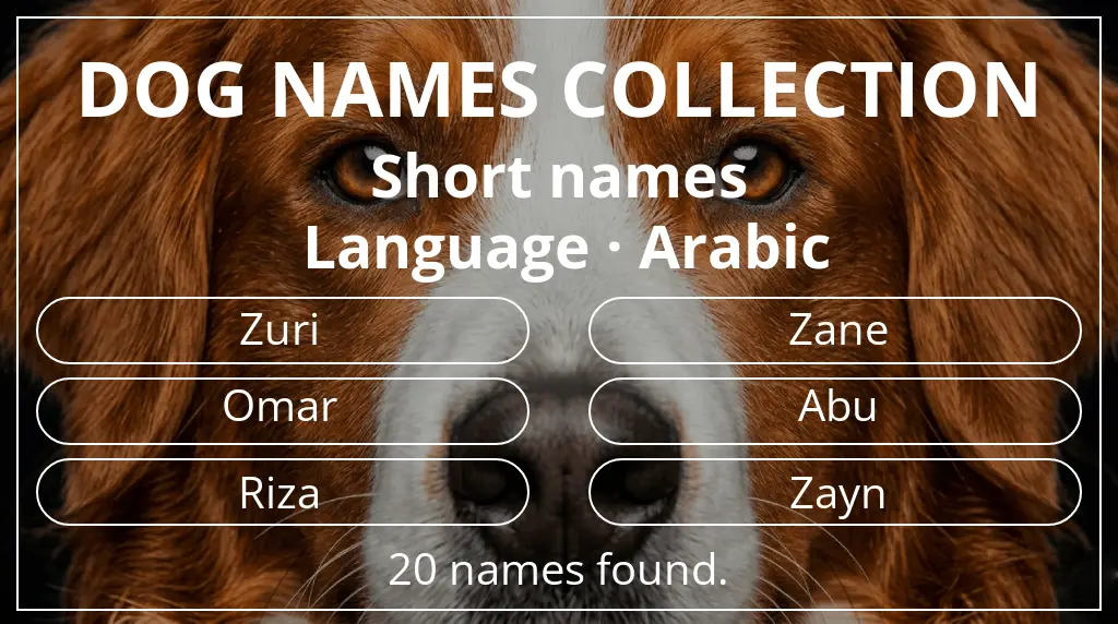 Names for dogs inspired by short (2–4) name length and arabic language
