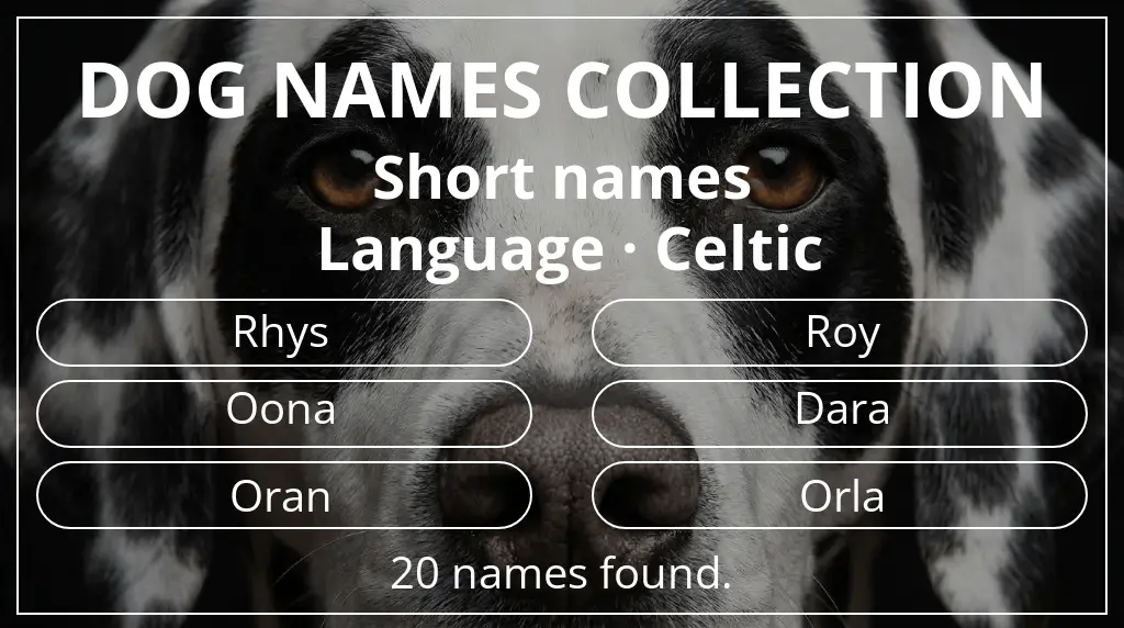Names for dogs based on short (2–4) name length and celtic language