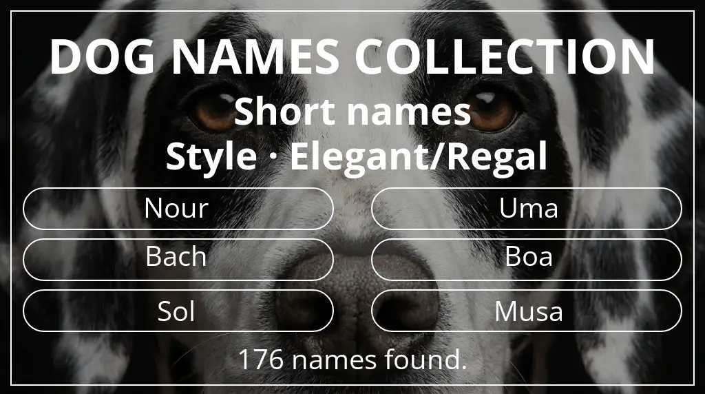 Names for dogs inspired by short (2–4) name length and elegant/regal style