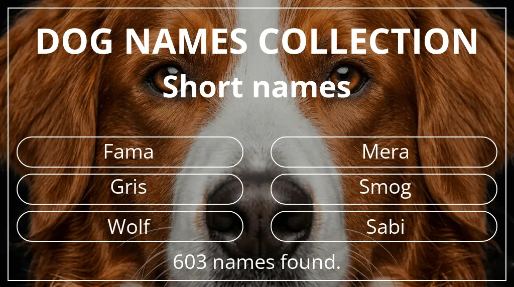 Dog names inspired by short (2–4) name length