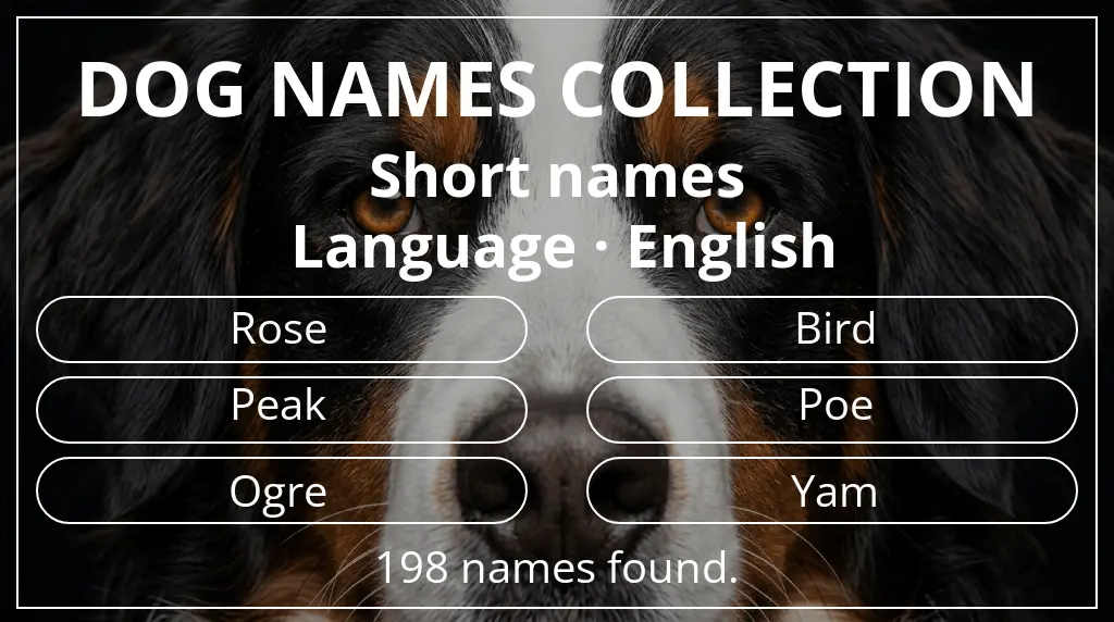 Dog names inspired by short (2–4) name length and english language