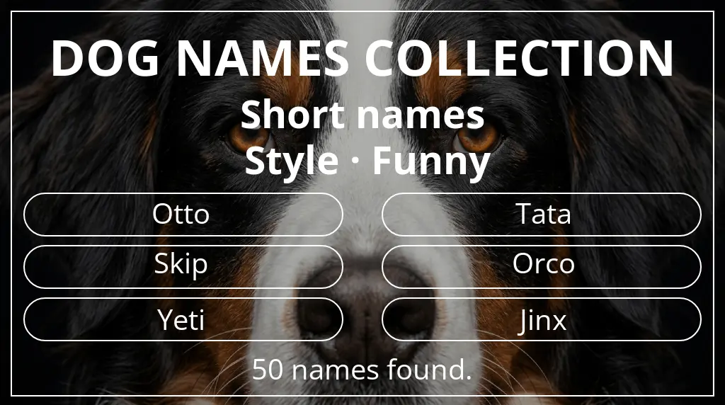 Dog names inspired by short (2–4) name length and funny style