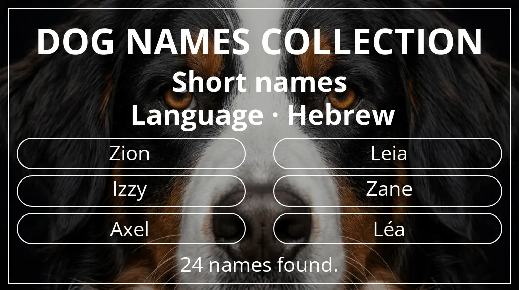 Dog names inspired by short (2–4) name length and hebrew language