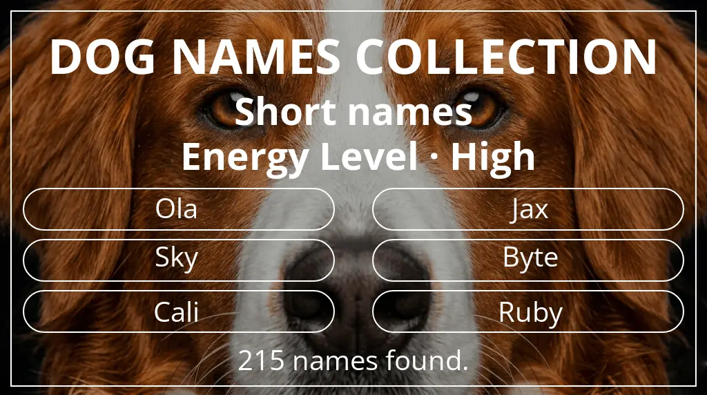 Dog names based on short (2–4) name length and high energy level
