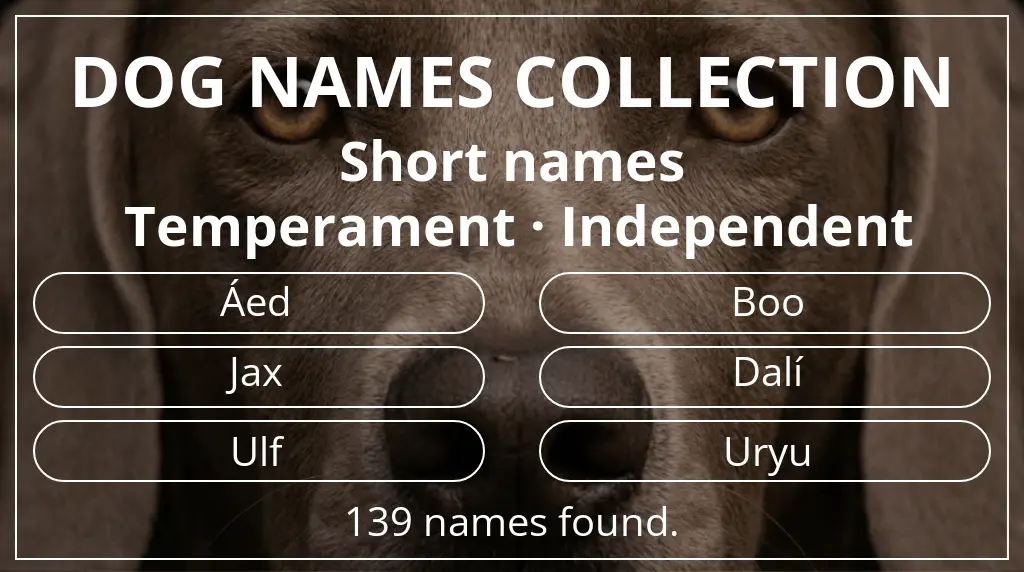 Dog names inspired by short (2–4) name length and independent temperament
