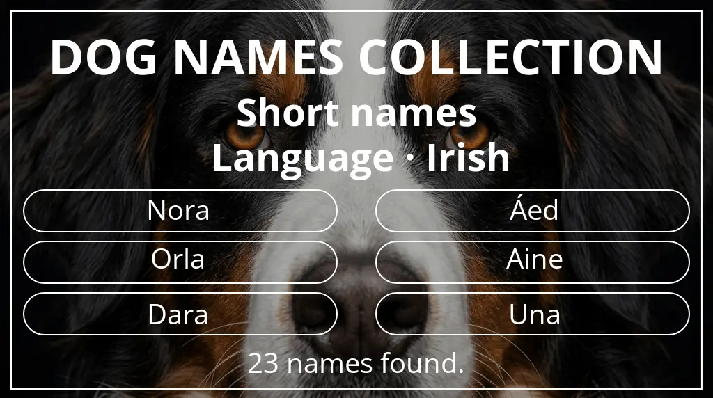 Names for dogs inspired by short (2–4) name length and irish language