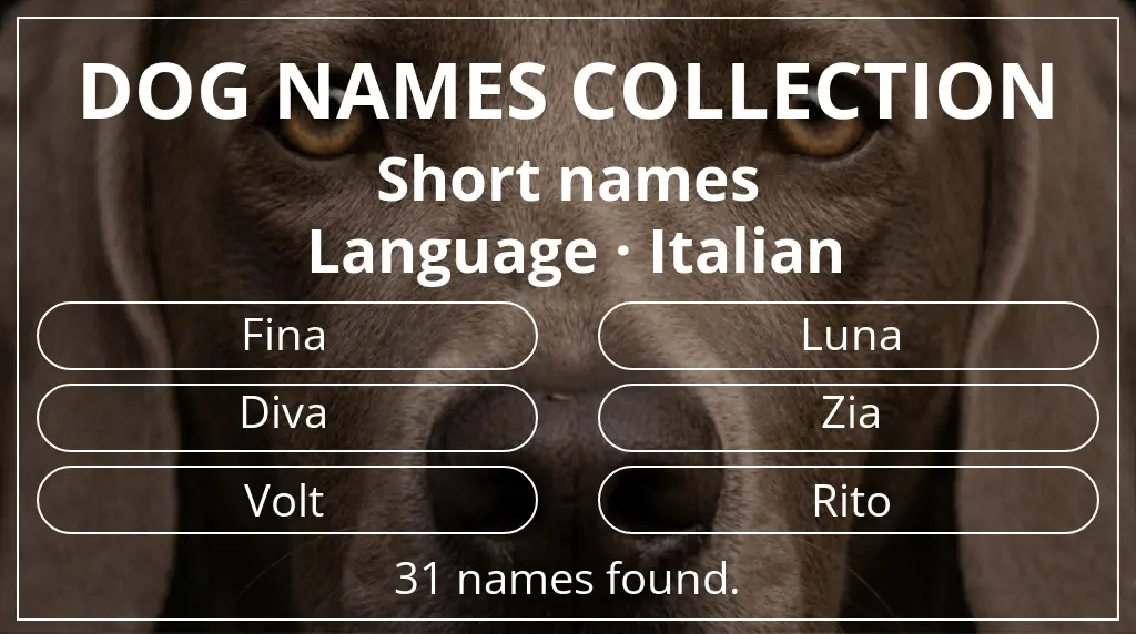 Names for dogs based on short (2–4) name length and italian language