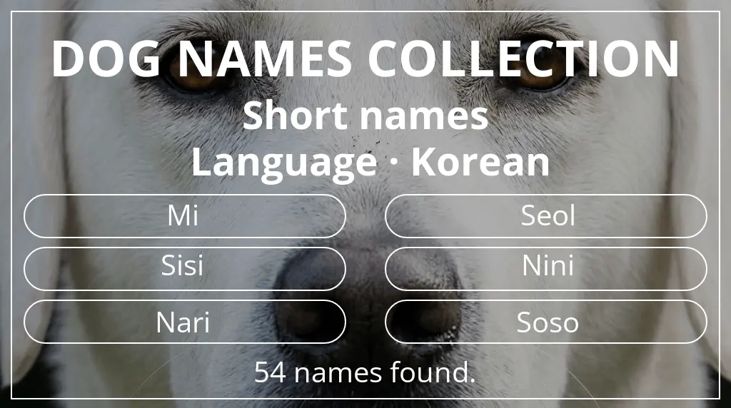Dog names inspired by short (2–4) name length and korean language