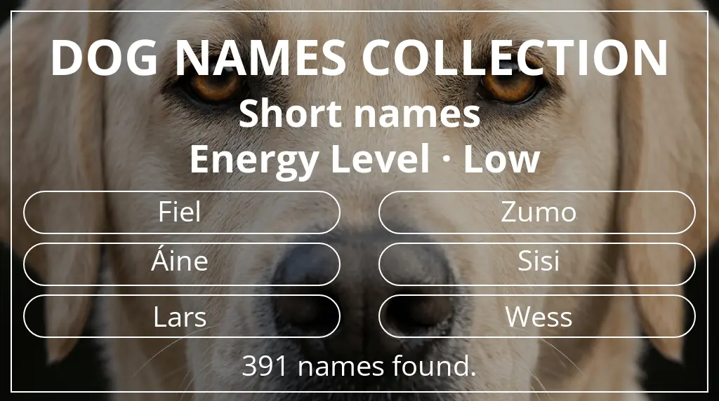 Dog names inspired by short (2–4) name length and low energy level