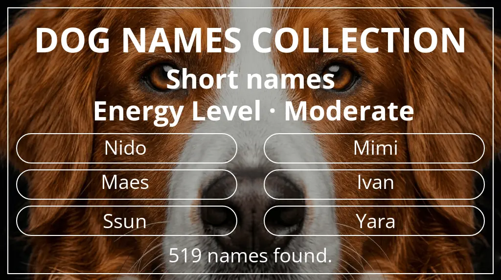 Names for dogs inspired by short (2–4) name length and moderate energy level