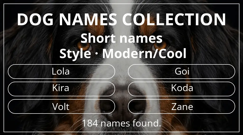 Names for dogs based on short (2–4) name length and modern/cool style