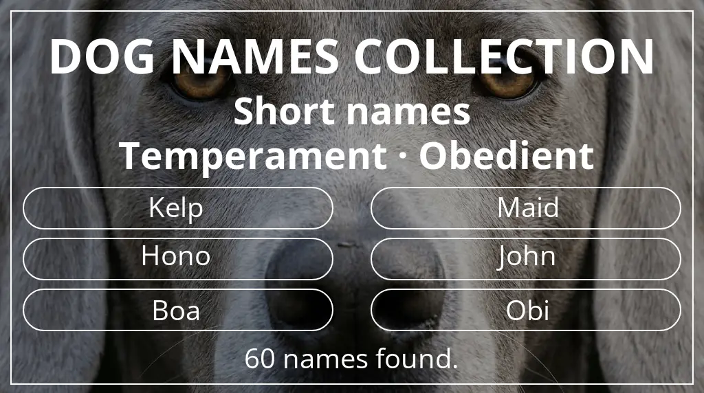 Names for dogs inspired by short (2–4) name length and obedient temperament