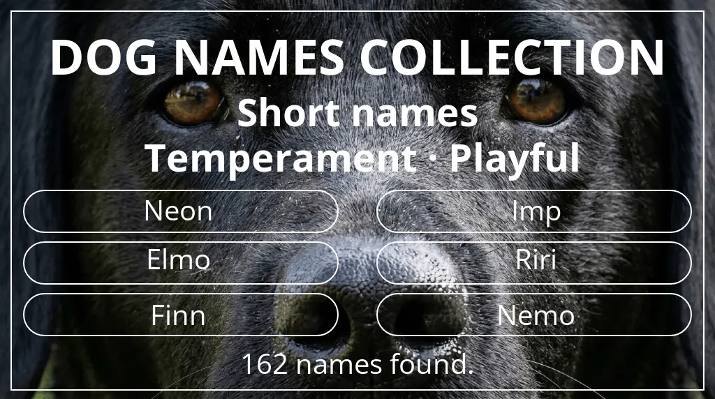 Names for dogs based on short (2–4) name length and playful temperament