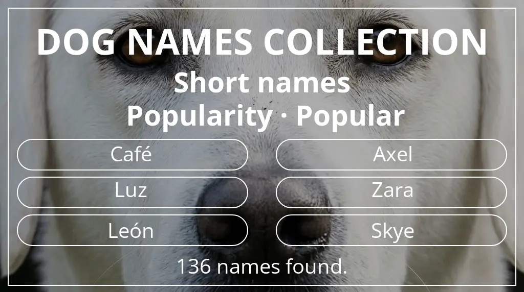 Dog names inspired by short (2–4) name length and popular popularity