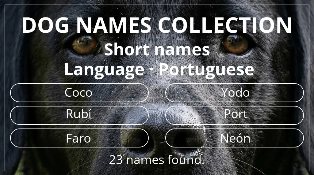 Dog names based on short (2–4) name length and portuguese language