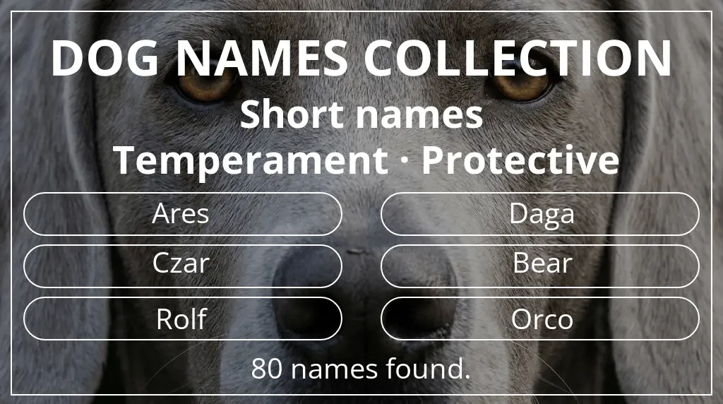 Dog names inspired by short (2–4) name length and protective temperament