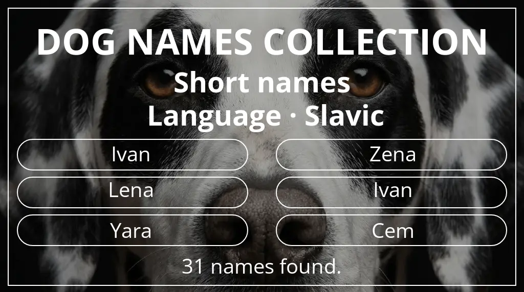 Names for dogs inspired by short (2–4) name length and slavic language