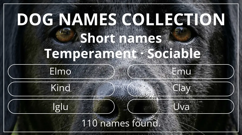 Names for dogs based on short (2–4) name length and sociable temperament
