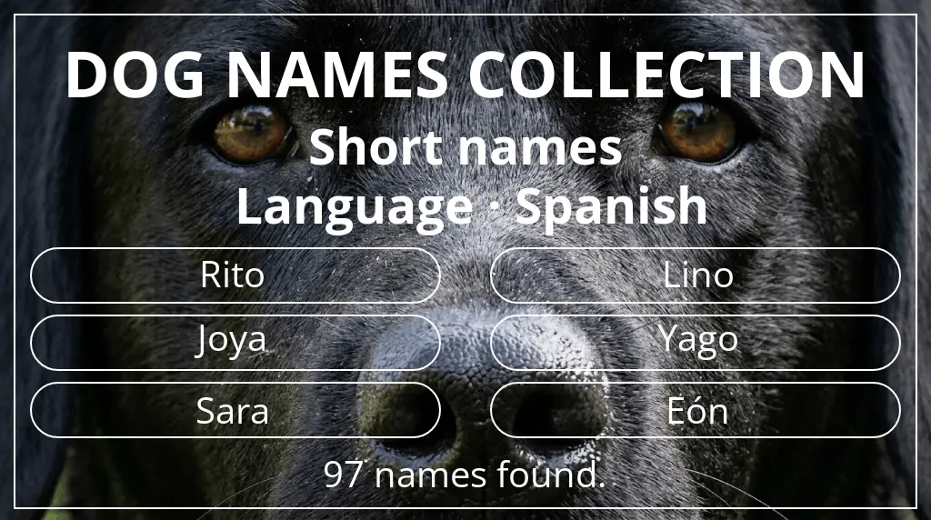 Names for dogs inspired by short (2–4) name length and spanish language