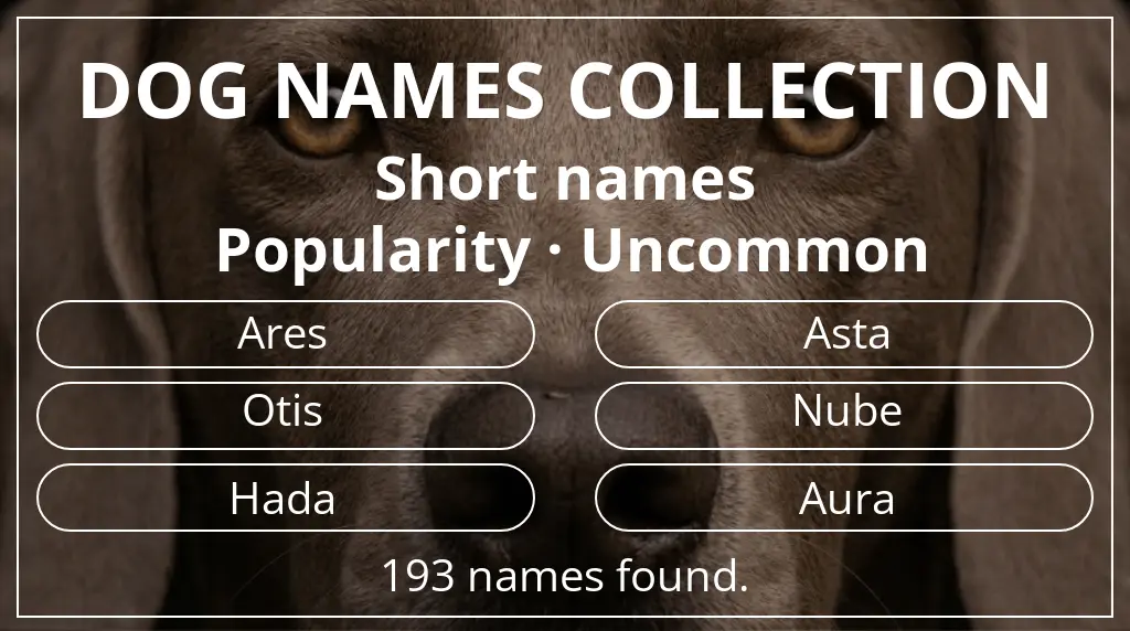 Dog names based on short (2–4) name length and uncommon popularity
