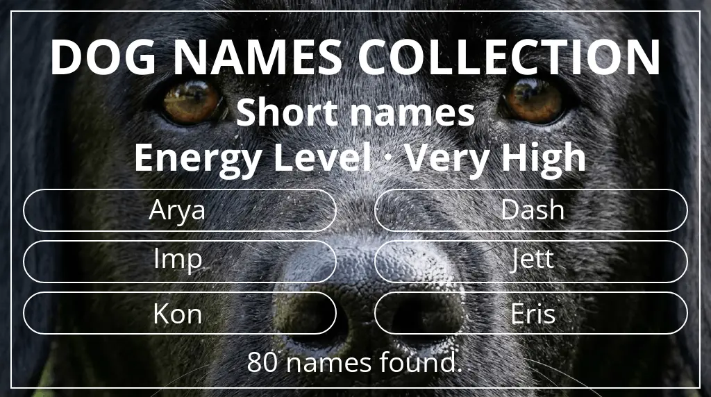 Dog names based on short (2–4) name length and very high energy level