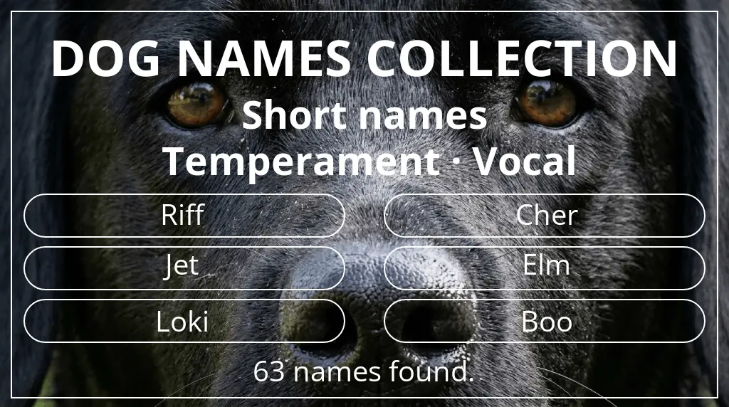 Dog names based on short (2–4) name length and vocal temperament