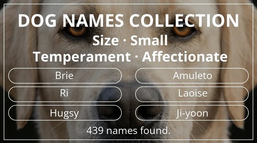 Dog names based on small size and affectionate temperament
