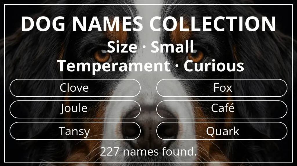 Dog names based on small size and curious temperament
