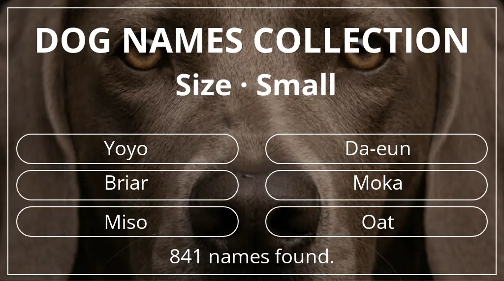 Dog names based on small size