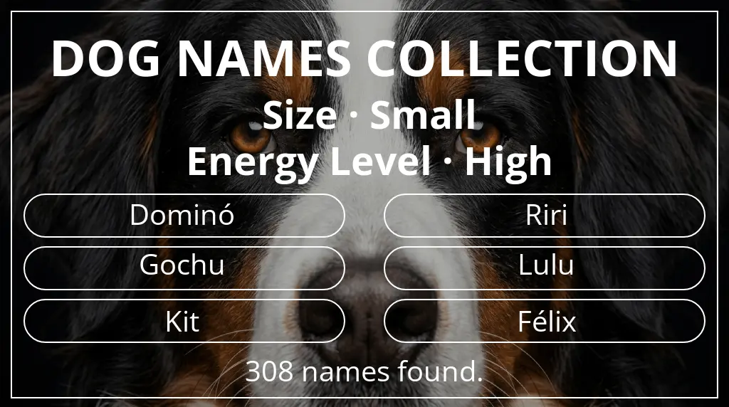 Names for dogs based on small size and high energy level