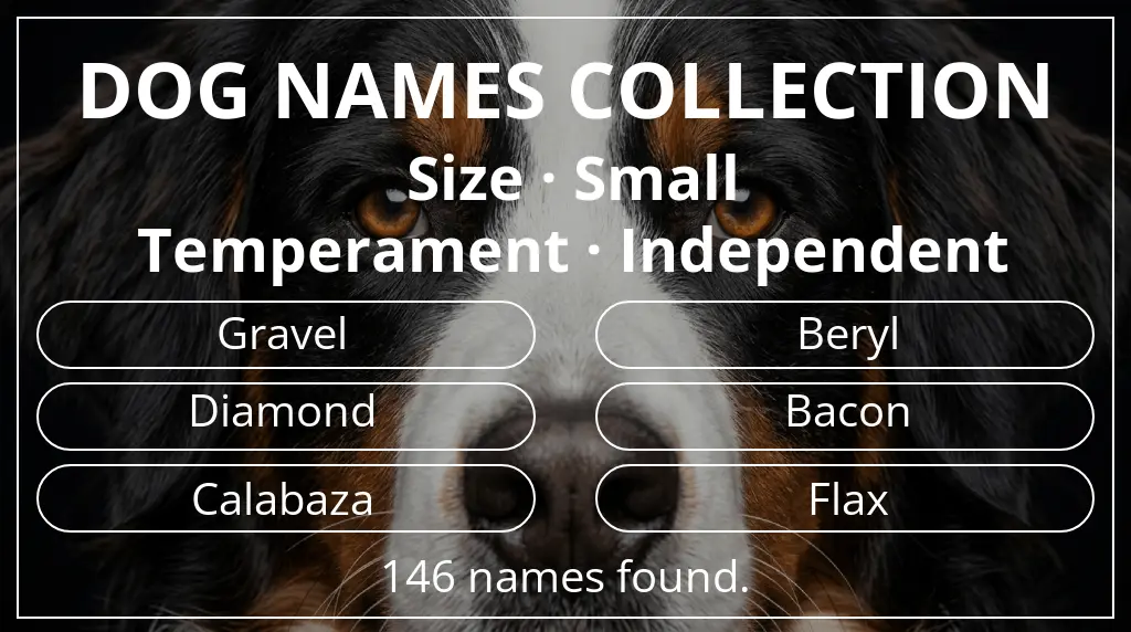 Names for dogs based on small size and independent temperament