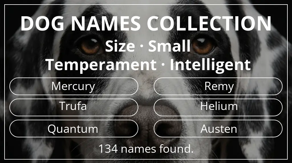 Dog names based on small size and intelligent temperament