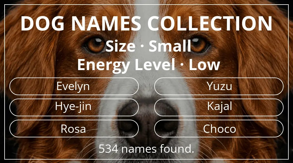 Dog names based on small size and low energy level