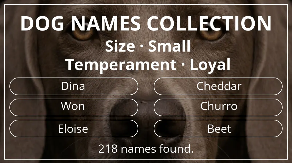 Names for dogs inspired by small size and loyal temperament