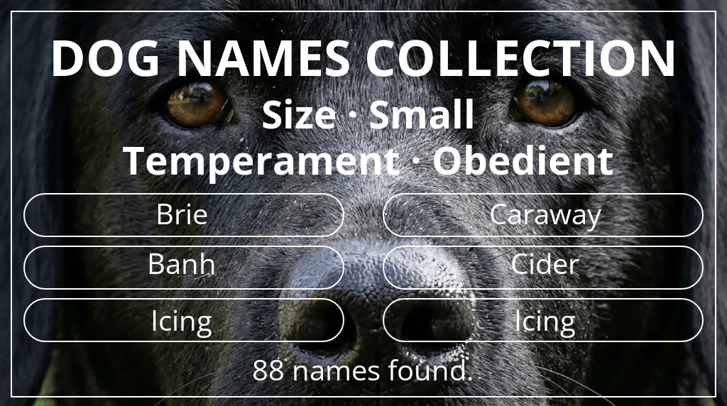 Dog names based on small size and obedient temperament