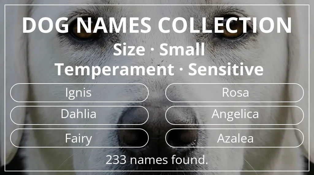 Dog names based on small size and sensitive temperament
