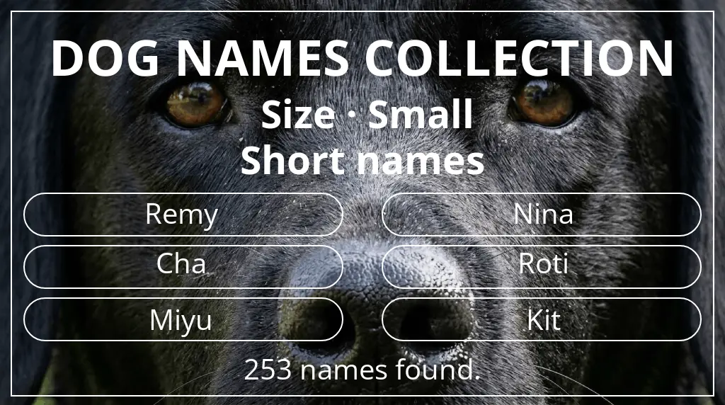 Dog names inspired by small size and short (2–4) name length