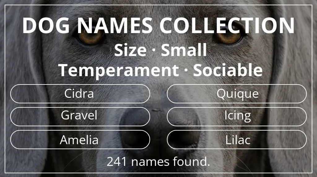 Dog names inspired by small size and sociable temperament