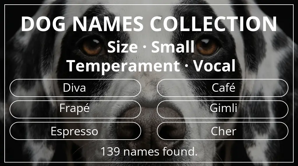 Dog names inspired by small size and vocal temperament