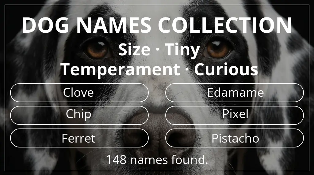 Dog names inspired by tiny size and curious temperament