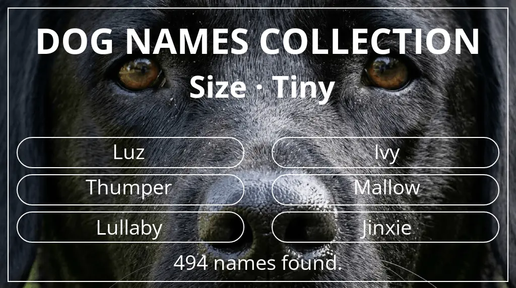 Names for dogs inspired by tiny size