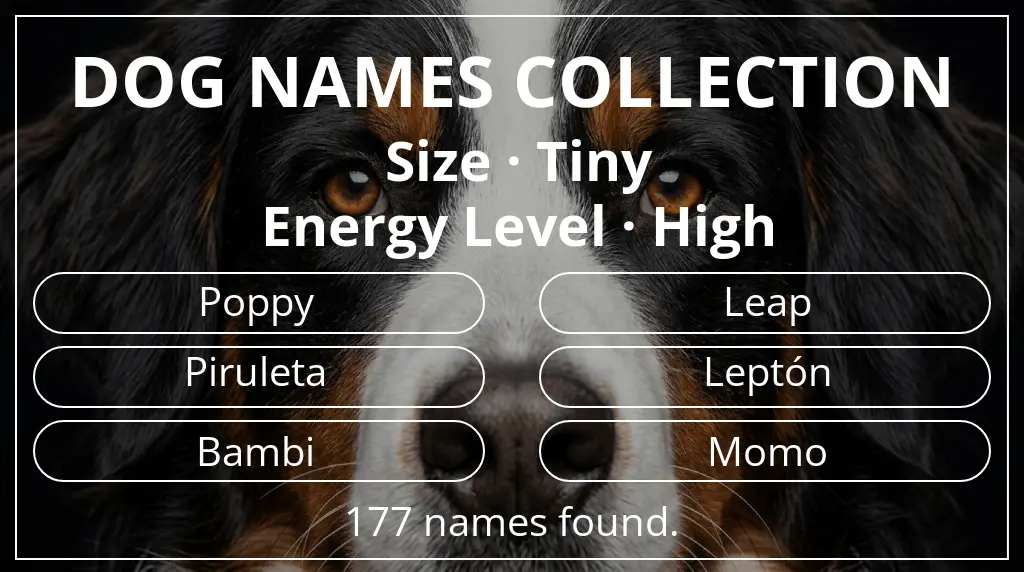Dog names based on tiny size and high energy level