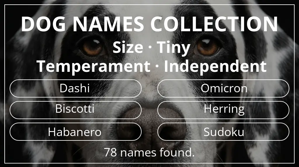 Names for dogs based on tiny size and independent temperament