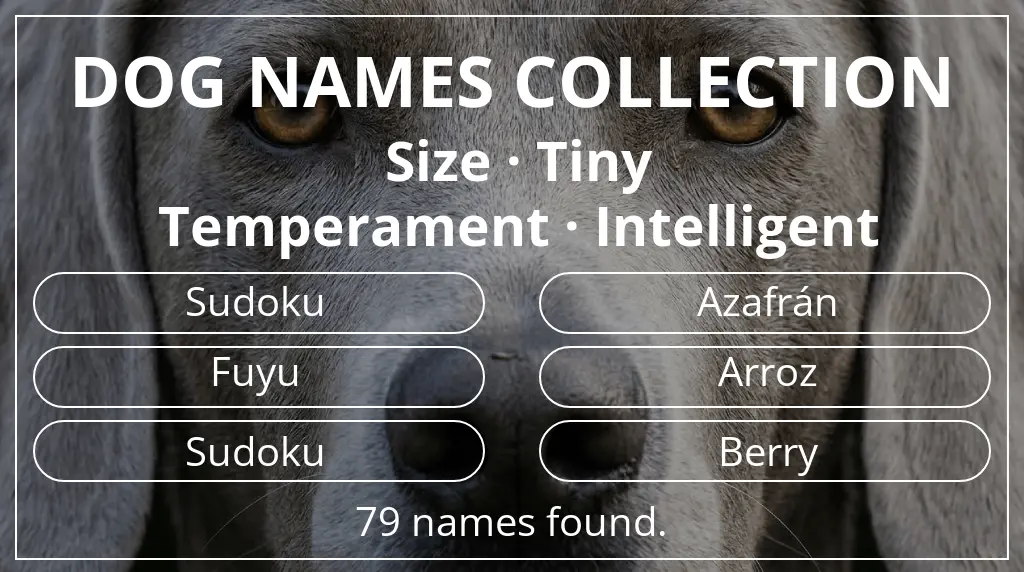Names for dogs inspired by tiny size and intelligent temperament