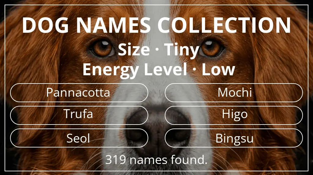 Dog names based on tiny size and low energy level