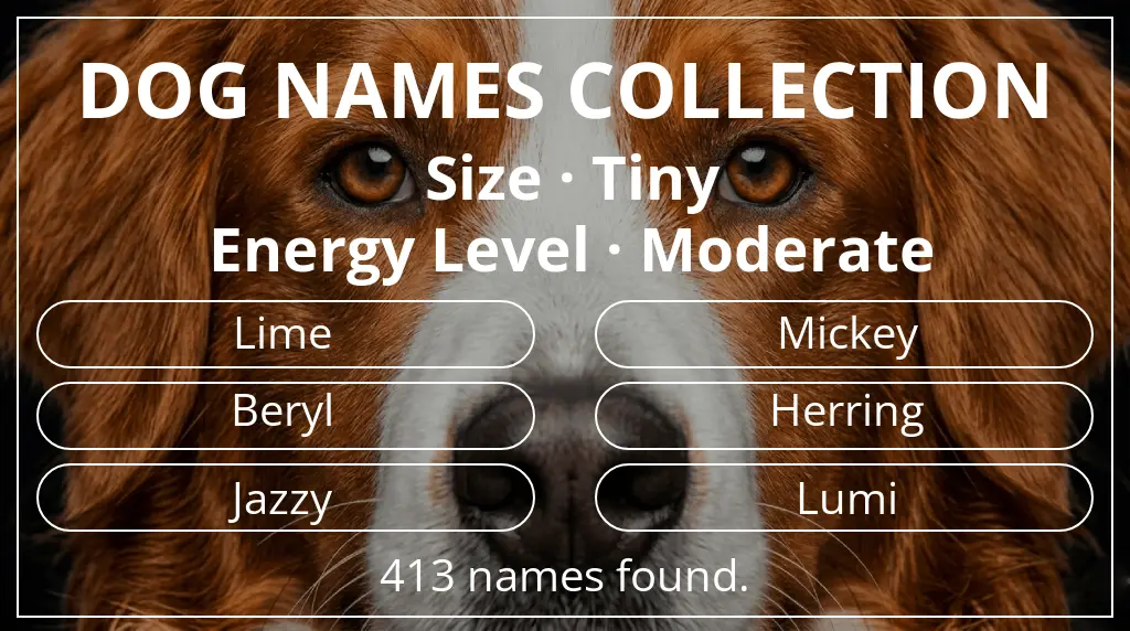 Names for dogs inspired by tiny size and moderate energy level