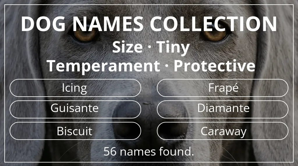 Dog names inspired by tiny size and protective temperament