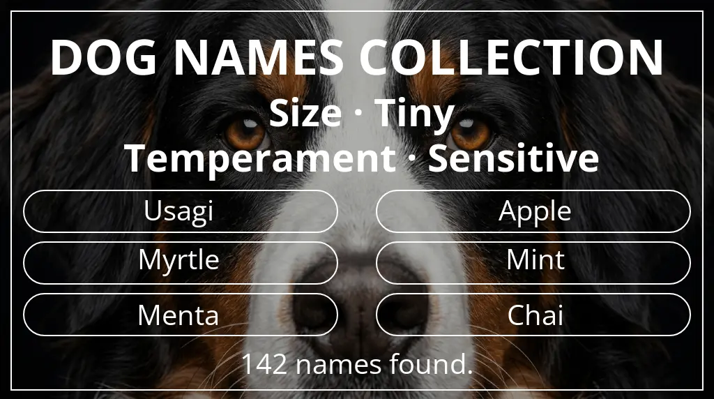 Names for dogs based on tiny size and sensitive temperament
